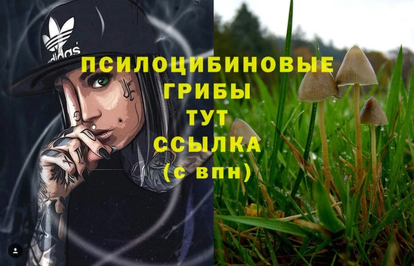 бошки Богданович