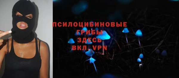 бошки Богданович