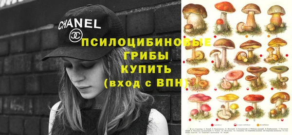 бошки Богданович