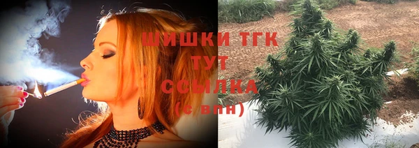 бошки Богданович